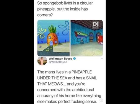 spongebob house : r/SpongebobMemes 